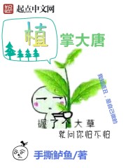 苏南星陆北渊是什么小说